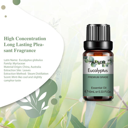 Coffret Huile Essentielles 6pcs (PHATOIL) - BAINEA