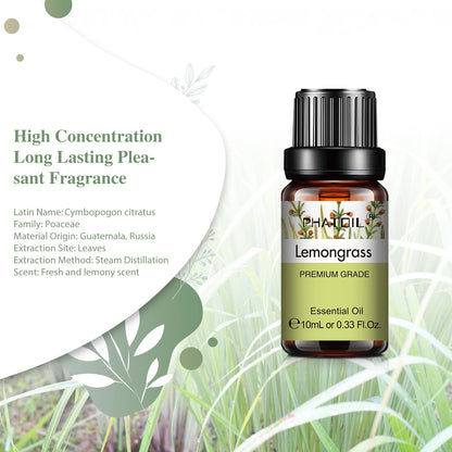 Coffret Huile Essentielles 6pcs (PHATOIL) - BAINEA